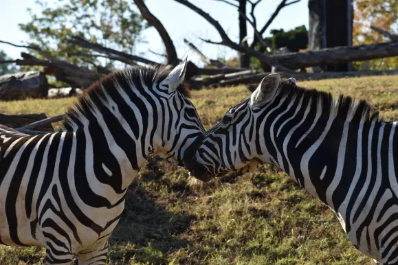 루나슬롯츠 카지노 지원